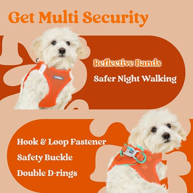rabbitgoo Small Dog Harness, Step-in Soft Mesh Puppy Vest with Safety Buckle, Breathable Reflective Pet Harness for Small Sized Dogs, Orange M
