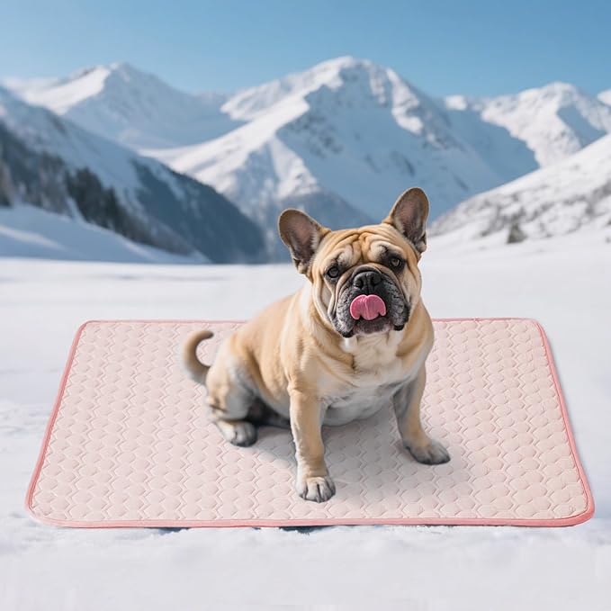 Soulbond Cooling Mat for Large Dogs - 29"x40" Washable Cooling Pad for Dogs & Cats, QMAX>0.3, Anti-Slip Bottom, Portable Summer Cool Pet Bed Pad for Outdoor/Indoor/Cars/Travel Use, Pink