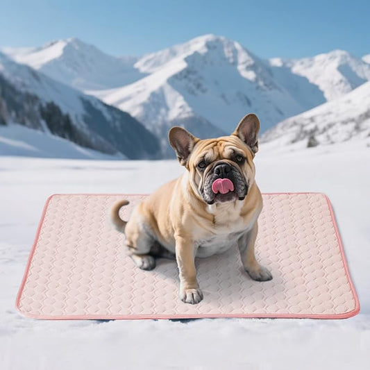 Soulbond Cooling Mat for Large Dogs - 29"x40" Washable Cooling Pad for Dogs & Cats, QMAX>0.3, Anti-Slip Bottom, Portable Summer Cool Pet Bed Pad for Outdoor/Indoor/Cars/Travel Use, Pink
