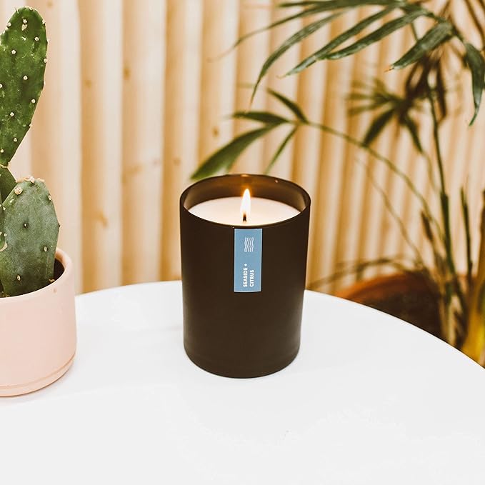 Calyan Wax Co. Seaside & Citrus Scented Candle - 75 Hour Burn - Luxury Non Toxic Soy Wax Candles - Long Lasting Black Tumbler Jar Candle for Home - 10.2oz