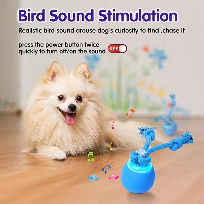 Interactive Dog Toys, Moving Dog Ball with Touch Activated, Active Rolling Ball for Puppy and Medium Dogs, Squeaky, USB Rechargeable