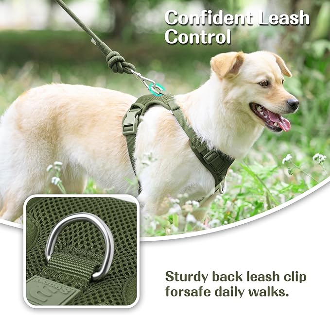 No Pull Dog Harness for Small Medium Large Dogs - Adjustable Two-Layer Mesh Dog Vest with Dual Clip, Escape Proof, Quick Release, Lightweight Breathable Mesh for Walking Hiking (Misty Green,S)