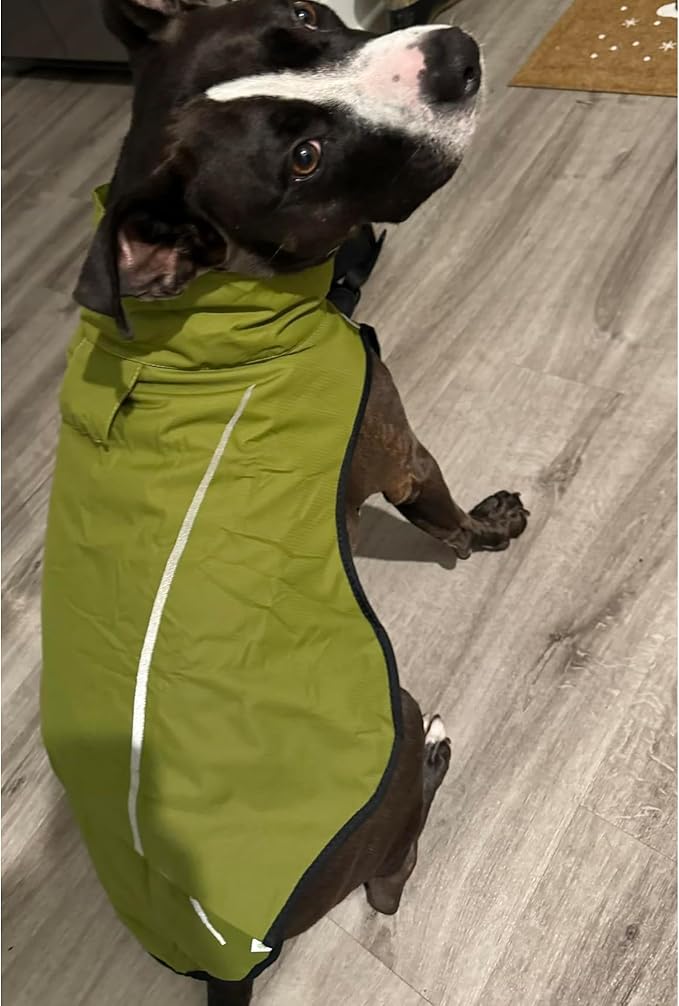 Mile High Life Dog Raincoat, Adjustable Waterproof Reflective Rain Jacket for Small Medium Large Dogs, Lightweight Breathable Pet Rain Coat with Leash Hole(Lime Yellow,L Chest 32-40")