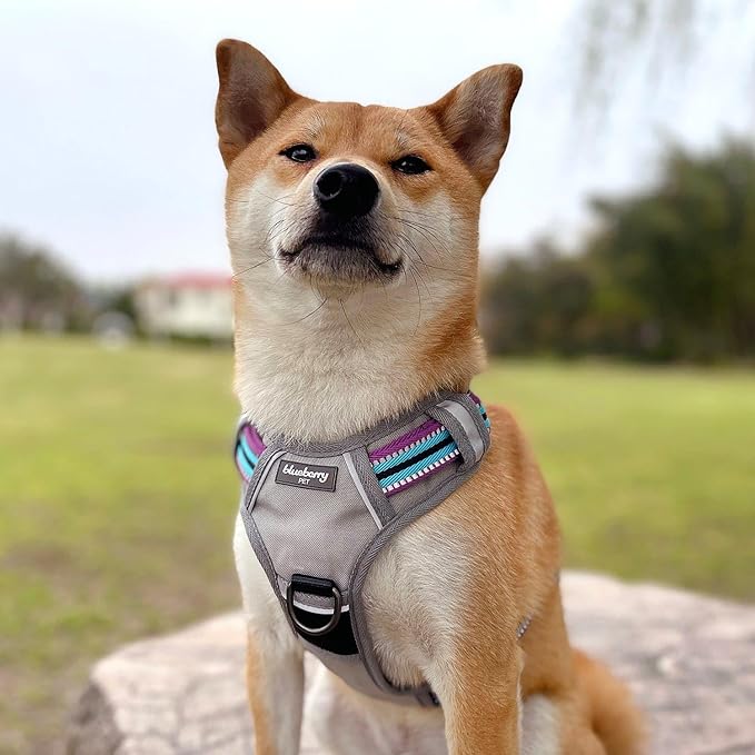 Blueberry Pet Soft 3M Reflective Dog Harness Vest | Mesh Padded No-Pull Harness with Back Clips | Multicolor Stripe in Pink, Emerald and Orchid| Adjustable for Small Dogs