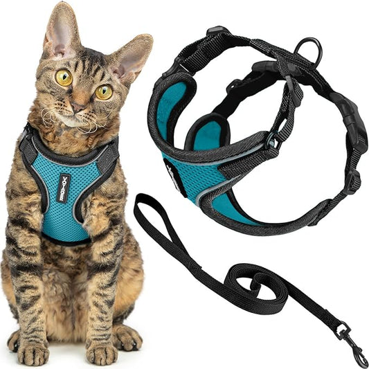 Voyager Escape Proof Cat Harness and Leash Set with Reflective Stitching, Neoprene Handle 5ft - Supports Small, Medium and Large Cats, Kittens for Walking by Best Pet Supplies - BT-Turquoise, XXXS