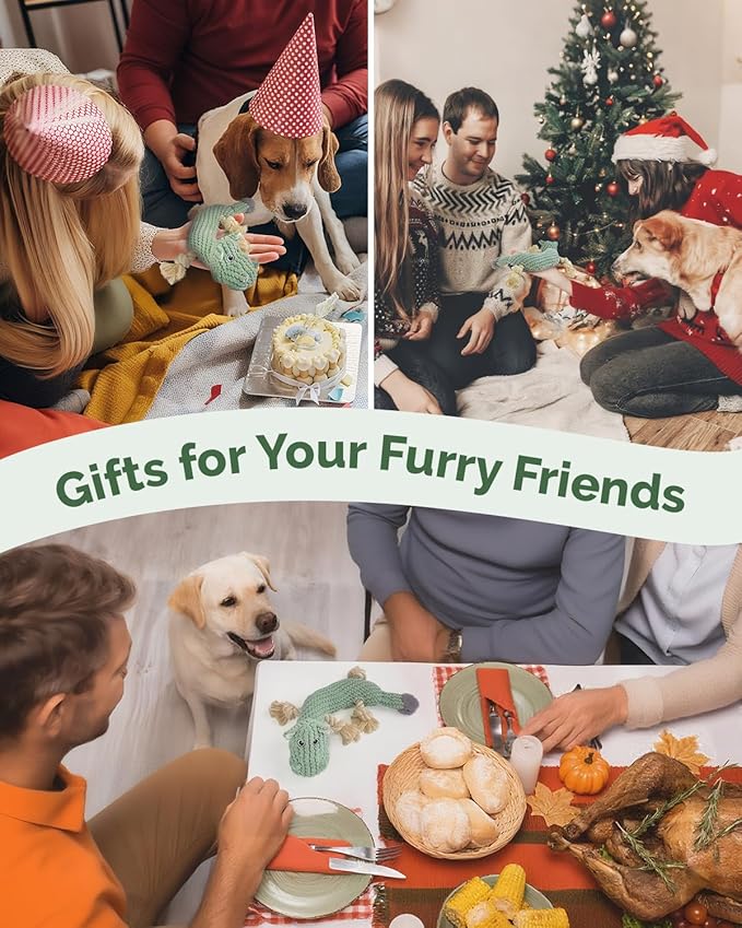 Squeaky Dog Toys for Medium Dogs - Durable Dog Toys for Aggressive Chewers to Keep Them Busy - Interactive Plush Chew Toy with Squeaker for Training Reward & Gift - Green