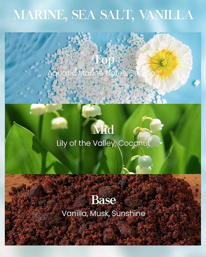 M&SENSE Sea Salt Vanilla Beach Scented Candles, Coastal Soy Candle, Summer Candle for Stress Relief Meditation Relaxing, Housewarming Gifts for Women Men, 11.3oz 70 Hour Long Burning