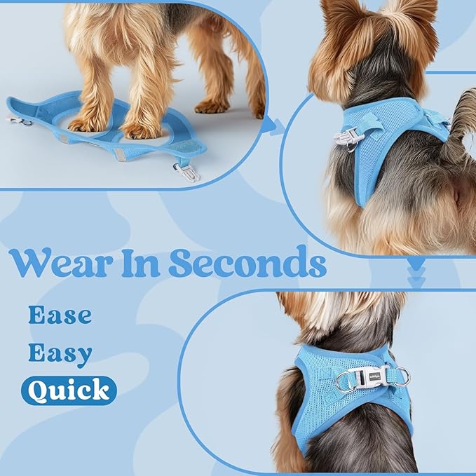 rabbitgoo Small Dog Harness, Step-in Soft Mesh Puppy Vest with Safety Buckle, Breathable Reflective Pet Harness for Small Sized Dogs, Blue S