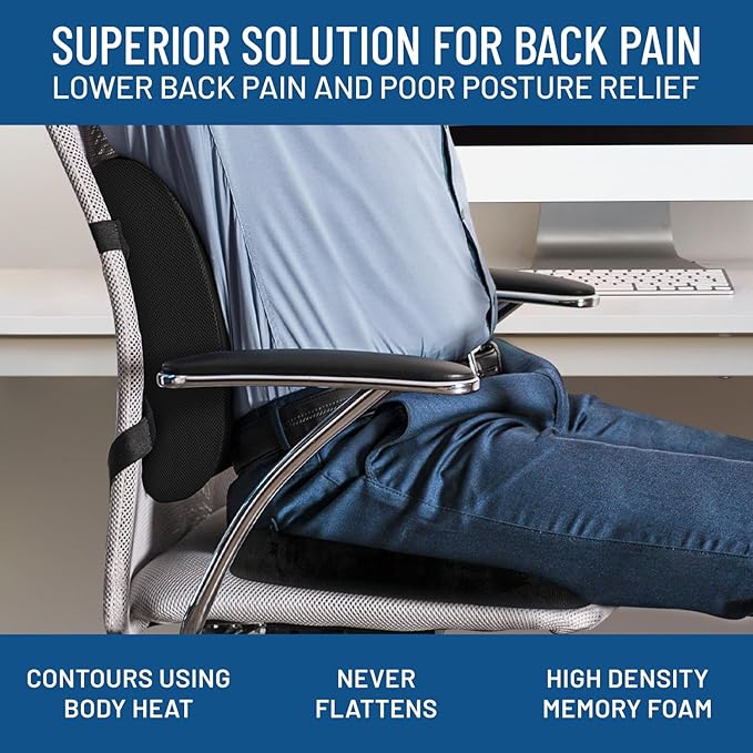 Everlasting Comfort Lumbar Support Pillow for Office Chair - Memory Foam Back Cushion for Car Seat - Promotes Better Posture, Back Pain Relief - Ideal Gaming and Desk Chairs Work and Home Essentials