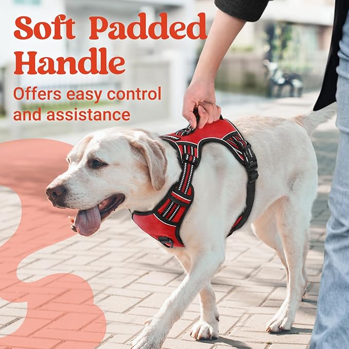 rabbitgoo Dog Harness Medium Sized, No Pull Pet Harness with Soft Padded Handle, Adjustable Reflective Vest with 3 Buckles, Easy Walking Harness with 2 Leash Clips, Red, M