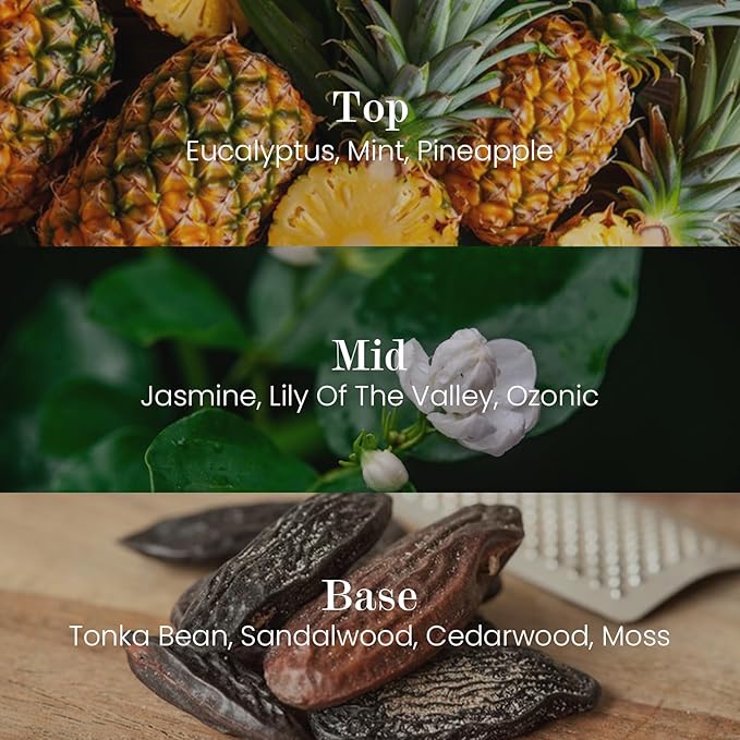 M&SENSE Natural Soy Candle| Eucalyptus Spearmint | 5.3 oz | Minimalist Christmas Scented Candle for Relaxation, Gifting, Home Décor | for Bedroom, Office, Party Small