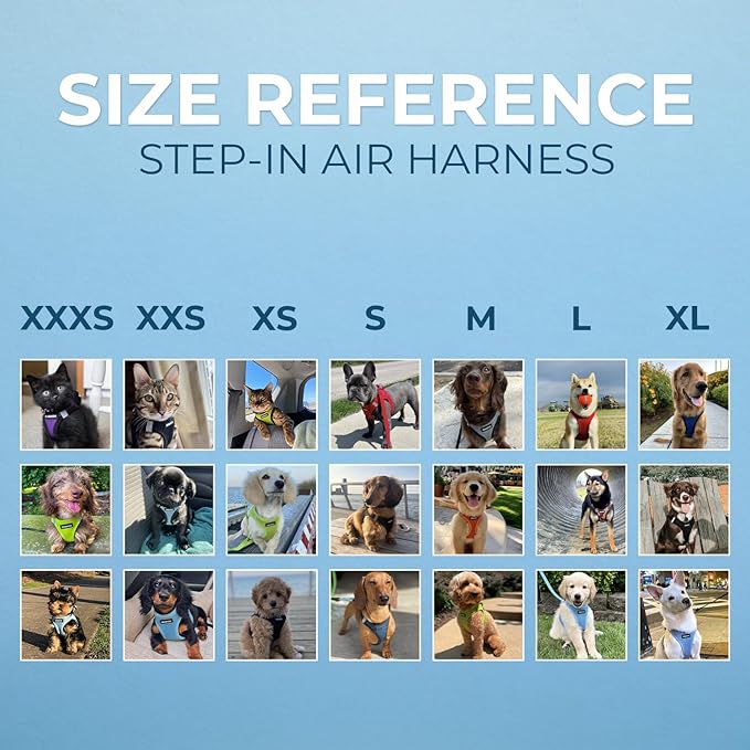 Best Pet Supplies Voyager Step-in Air Harness - All Weather Mesh, Reflective, No Pull Harness for Dogs, Cats - Secure with Hook & Loop Fastener, Buckle, Double D-Rings - Royal Blue/Black Trim, XS