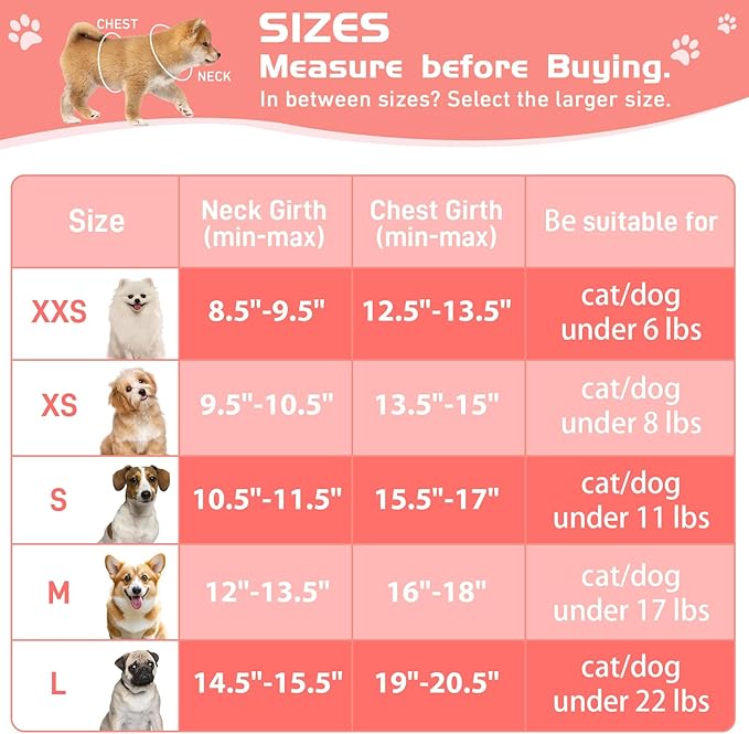 Soft Mesh Dog Harness and Leash Set, No Pull Puppy Harness and Leash Set, Reflective Step in Harness for Small Medium Dogs, Easy Walk Escape Proof Vest Harnesses (Pink, S)