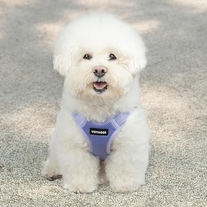 Best Pet Supplies Voyager Adjustable Dog Vest Harness Breathable No Pull Harness for Small, Medium, Large Dogs, Heavy Duty Harness, Easy Step-in, Reflective Stripes - Lavender, XS (Chest: 13-16")