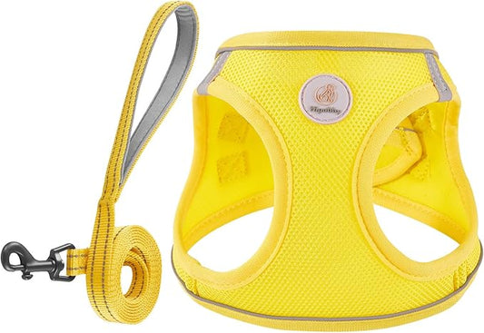 Dog Harness and Leash Set, No Pull Soft Mesh Puppy Harness for Small Medium Dogs, Cats - Step in Reflective Breathable Lightweight Vest Harness for Walking, Training - Yellow, XS