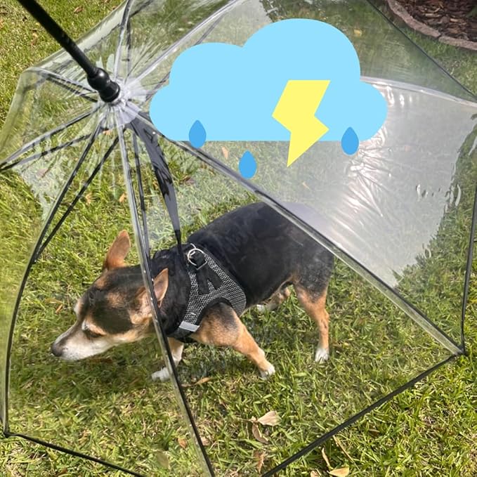 NAMSAN Dog Umbrella for Small Dogs, Self-Assembly Dog Umbrella Leash, Clear Doggie Rain Umbrella, Puppy Walking Umbrella with Adjustable Leash
