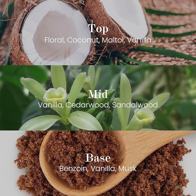 M&SENSE Natural Soy Candle| Vanilla Sandalwood | 16.6 oz, 95H Burn | Minimalist Christmas Scented Candle for Relaxation, Gifting, Home Décor | for Bedroom, Office, Party Large