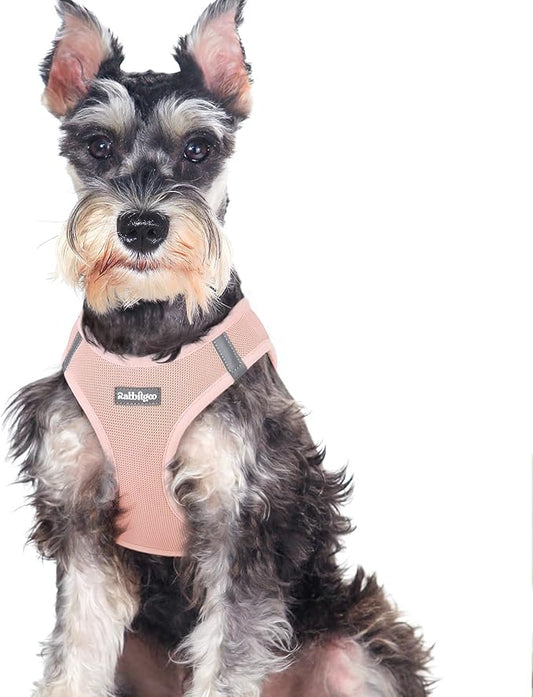rabbitgoo Small Dog Harness, Step-in Soft Mesh Puppy Vest with Safety Buckle, Breathable Reflective Pet Harness for Large Dogs, Pink XXL