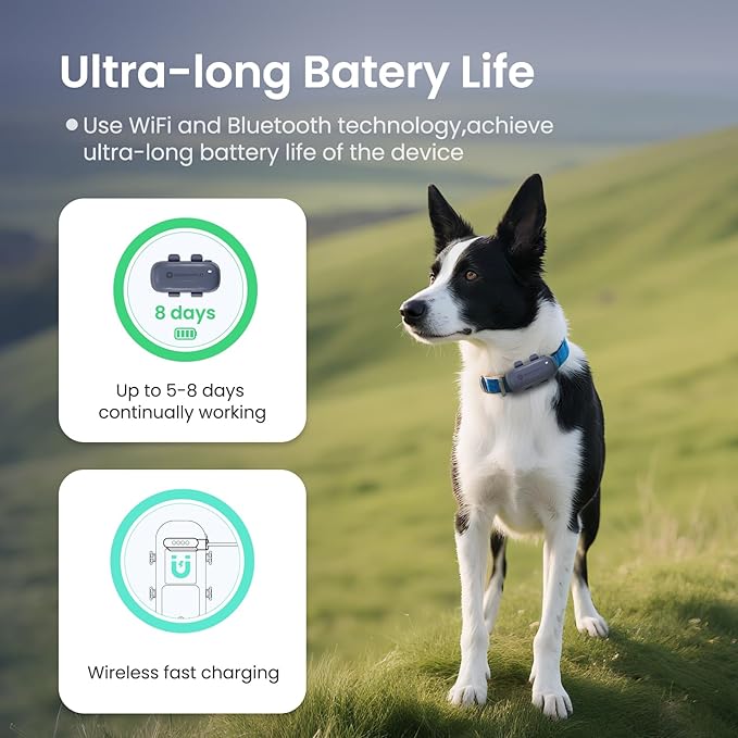 SEEWORLD Cat Tracker GPS Dog Pet Tracker with Real-Time Location Tracking | Virtual Fence | Location History | Health & Escape Alerts | Unlimited Range Waterproof Fits All Collars