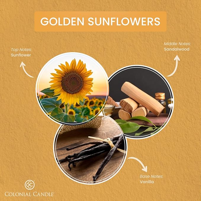 Colonial Candle Golden Sunflowers Scented Jar Candle, Pop of Color Collection, 3 Wick, 14.5 oz - Up to 60 Hours Burn