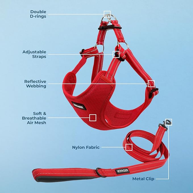 Best Pet Supplies Voyager Adjustable Dog Harness Leash Set with Reflective Stripes for Walking Heavy-Duty Full Body No Pull Vest with Leash D-Ring, Breathable All-Weather - Red, XL