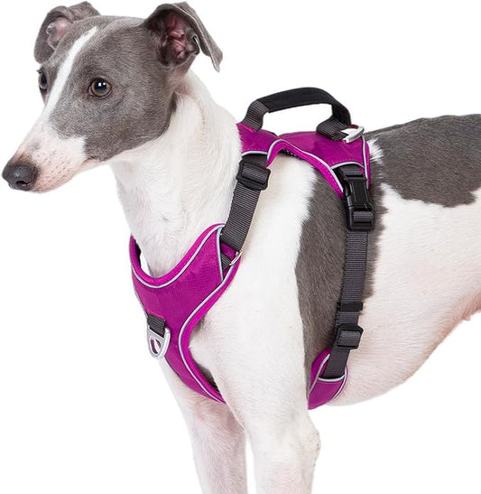 No Pull Dog Harness with 2 Leash Clips, Reflective Vest, Adjustable and Padded, Easy Walk Front/Back Clips (Purple, X-Small)