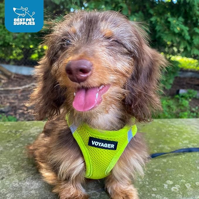 Best Pet Supplies Voyager Step-in Air Harness - All Weather Mesh, Reflective, No Pull Harness for Dogs, Cats - Secure with Hook & Loop Fastener, Buckle, Double D-Rings - Lime Green, XXS