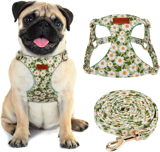 CHEDE No Pull Floral Pattern Dog Harness - Lightweight and Soft, Adjustable Small Dog Harness and Leash Set, with Dog Leash, Suitable for Puppy Small and Medium-Sized Dog (M, Green Daisy)