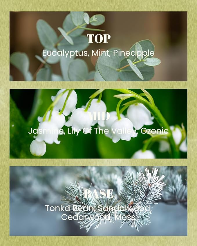 M&SENSE Eucalyptus Mint Scented Vegan Soy Candles, 10oz Long Burning 42-Hour Burn Time, Fall Winter Home Fragrance for Stress Relief, Calming, Meditation, Thanksgiving Christmas Gift for Women and Men