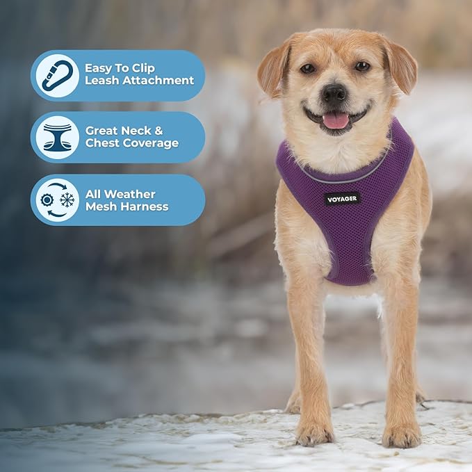 Best Pet Supplies Voyager Aerolite No Pull Mesh Dog Harness, Reflective Stitching, Breathable Harness, Adjustable for Walking, Training, Running, Heavy Duty and Durable, Purple, S