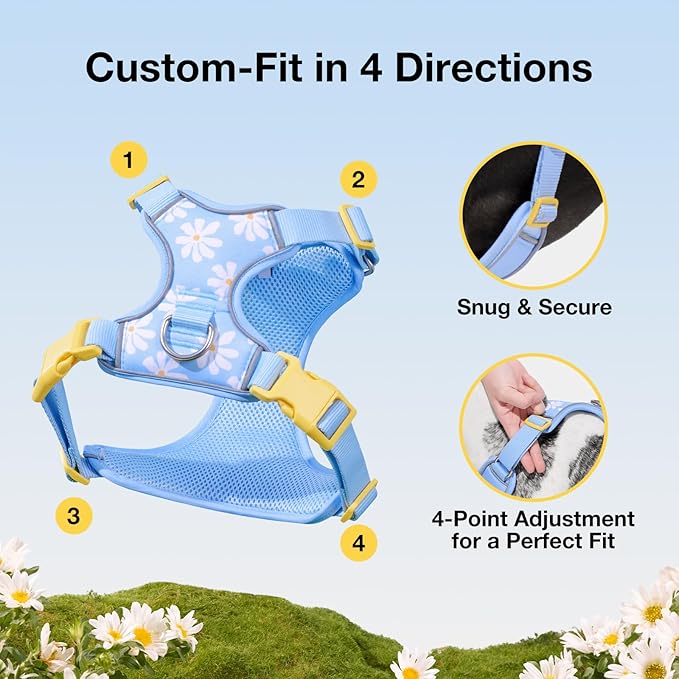 VETRESKA Dog Harness for Small Medium Dogs No Pull, Puppy Harness and Leash Set Adjustable Reflective No Choke Pet Vest Easy Control Harness for Dogs/Cats with Anti-Tangle Dog Leash, Daisy S