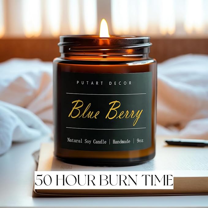 Blue Berry Candles for Home Scented, Natural Soy Aromatherapy Non Toxic Candles with Long Lasting Fragrance & Clean Burn, Luxury Jar Candle Gift for Women, Men, Home Decoration 9oz