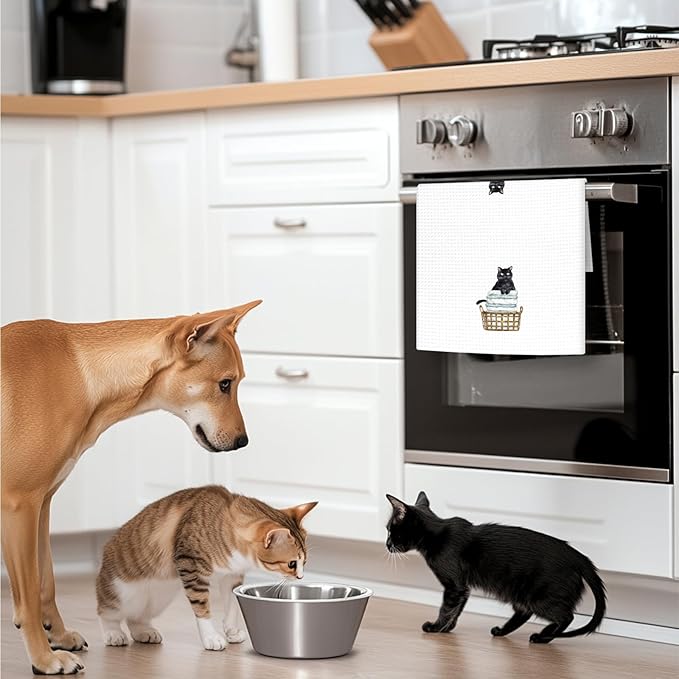 Funny Black Cat Hand Towels Set of 2, Gifts for Black Cat Owners Lovers Women Men, Cute Kitten Pet Decor for Bathroom, Funny Pet Lovers Laundry Hand Towels for Bathroom Washroom,16x24In