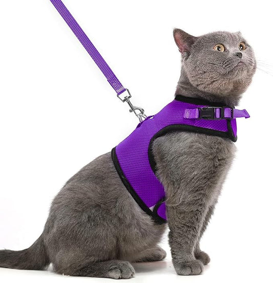 PUPTECK Soft Mesh Cat Vest Harness and Leash Set Puppy Padded Pet Harnesses Escape Proof for Cats Small Dogs, Purple Large