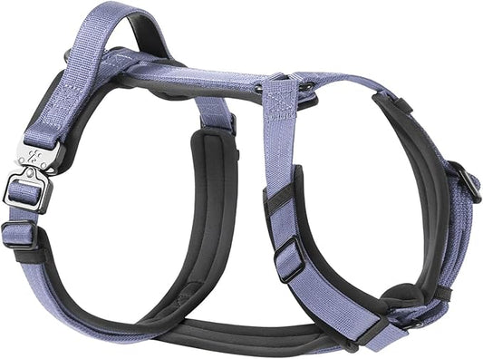 PawsPassion Dog Harness for X-Large Dogs, No Pull Dog Harness with Metal Hardware, Ergonomic Y-Shaped Design, Soft Padding, Padded Handle, Durable High-Tensile Nylon (Lilac Breeze, XL)