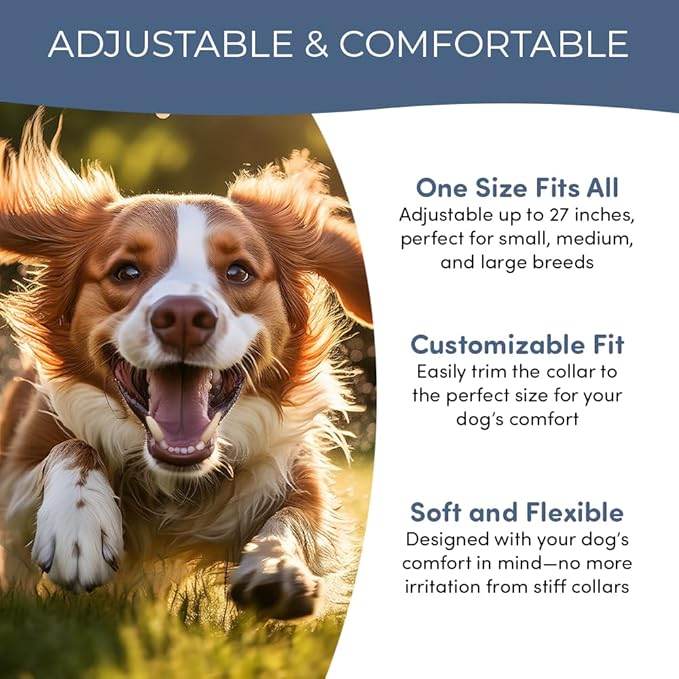 Natural Flea and Tick Collar for Dogs & Cats – 8 Month Protection – Waterproof, Adjustable – 2 Pack – Essential Oils, Chemical-Free, Safe for Pets, People & The Planet