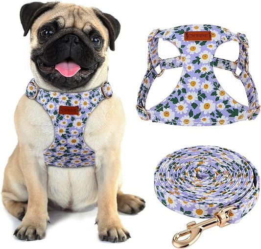 CHEDE No Pull Floral Pattern Dog Harness - Lightweight and Soft, Adjustable Small Dog Harness and Leash Set, with Dog Leash, Suitable for Puppy to Medium-Sized Dog (M, Purple Daisy)