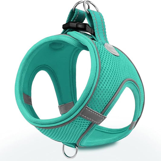 Joytale Small Dog Harness, Breathable Mesh Step-in Vest, Reflective Soft Padded Harnesses for Cats, Puppies and Extra Small Dogs, Teal, XXS