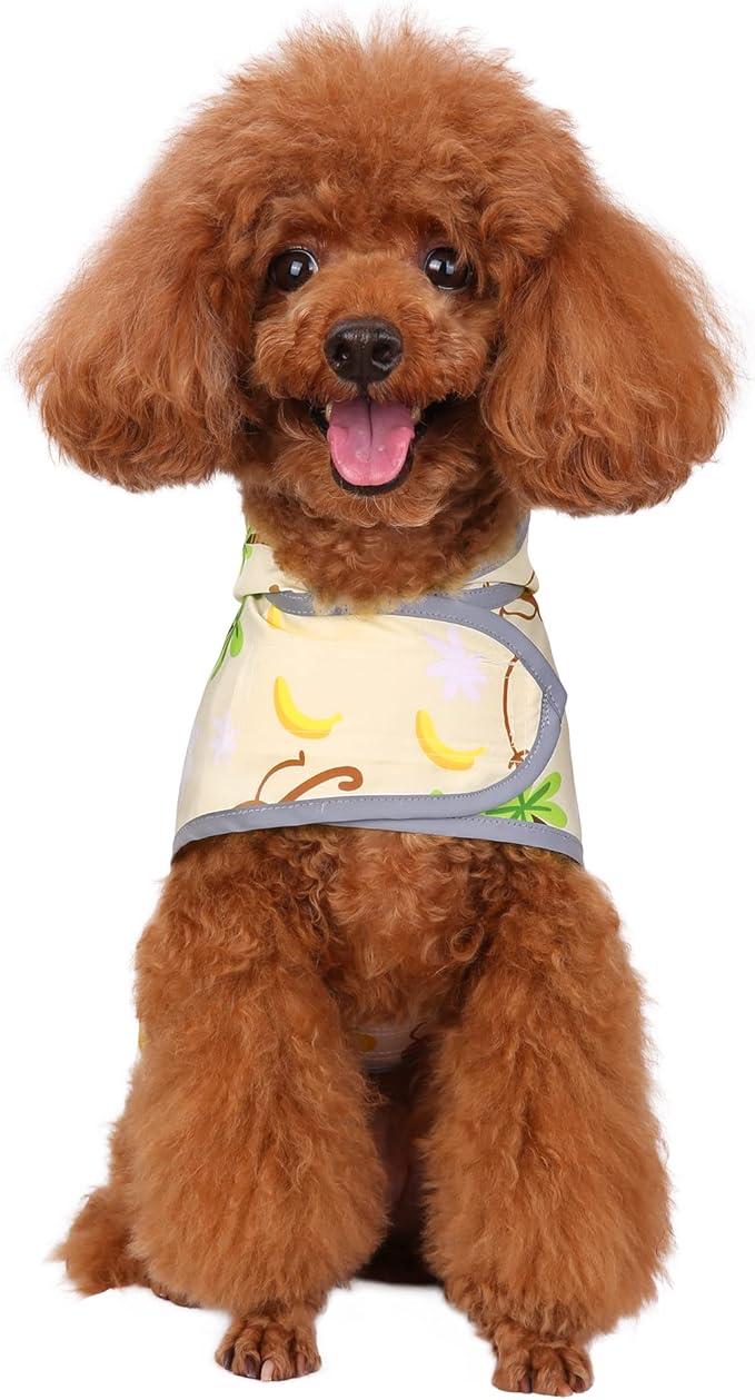Dog Raincoat for Small Dogs Puppies Waterproof Hooded Rain Jacket with Reflective Strips Leash Hole & Poncho Adjustable Fit (Monkey,S)