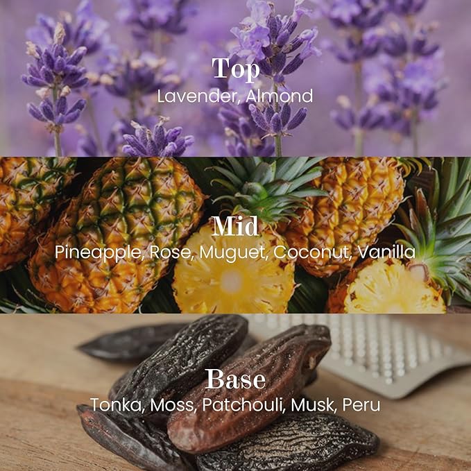 M&SENSE Natural Soy Candle| Lavender Vanilla | 16.6 oz, 95H Burn | Minimalist Christmas Scented Candle for Relaxation, Gifting, Home Décor | for Bedroom, Office, Party Large