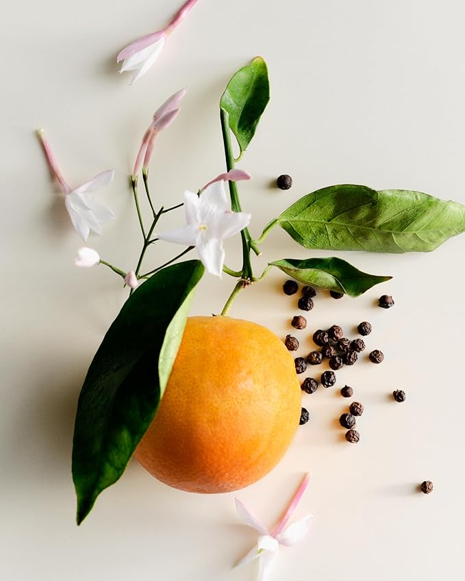 Maison Louis Marie - Antidris Jasmine Soy Wax Candle | Luxury Fragrances for a Modern World (8.5 oz | 240 g)