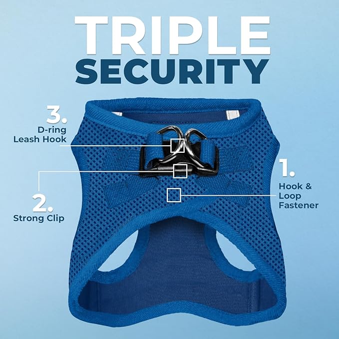 Best Pet Supplies Voyager Step-in Air Harness - All Weather Mesh, Reflective, No Pull Harness for Dogs, Cats - Secure with Hook & Loop Fastener, Buckle, Double D-Rings - Royal Blue, XXS
