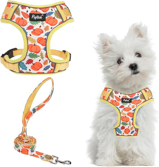 PUPTECK Small Dog Harness and Leash Set, No Pull Adjustable Puppy Cat Harness, Reflective Soft Mesh Pet Vest Small Sized