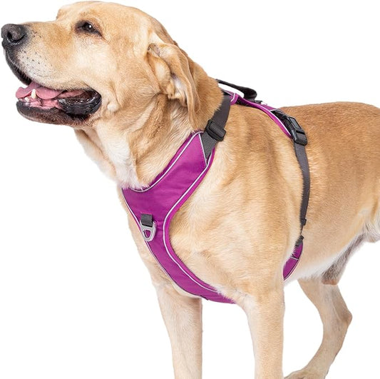 No Pull Dog Harness with Back Control Handle for Large Dogs, Reflective Vest, Adjustable and Padded, Easy Walk Front/Back Clips (Purple, X-Large)