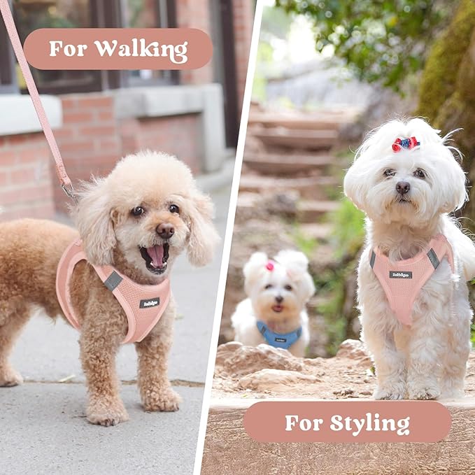 rabbitgoo Small Dog Harness, Step-in Soft Mesh Puppy Vest with Safety Buckle, Breathable Reflective Pet Harness for Small Sized Dogs, Pink M