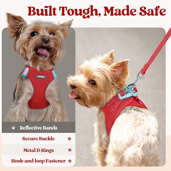 rabbitgoo Dog Harness Small Sized and Leash Set, Step in Soft Light Puppy Vest, Breathable Mesh Pet Harness, Reflective for Outdoor Safe Walking, Red XL