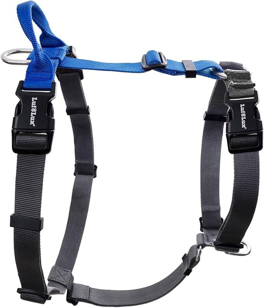 Non-Restrictive Dog Harness Medium Sized Dog, Easy Walk Freedom No Pull Harness, Keep Balance, Neck-Buckle, Six Points Adjustment, 2 Leash Clips for Back/Front Clip, Blue/Black