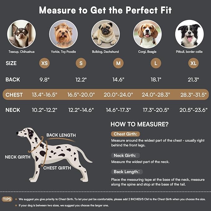 Queenmore Dog Winter Coat - Fleece Jacket, Waterproof Cold Weather Clothes, Thick Warm Cotton Padding, Easy On/Off Storage Pockets (Grey, X-Small)
