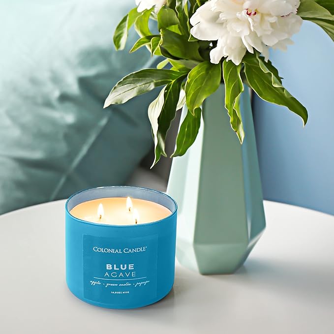 Colonial Candle Blue Agave Scented Jar Candle, Pop of Color Collection, 3 Wick, 14.5 oz - Up to 60 Hours Burn