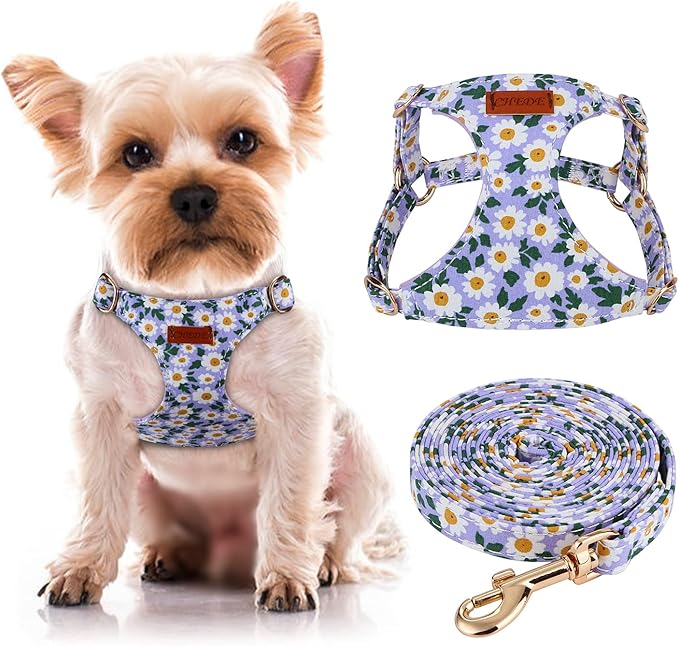 CHEDE No Pull Floral Pattern Dog Harness - Lightweight and Soft, Adjustable Small Dog Harness Set with Leash, Suitable for Puppy to Medium-Sized Dog